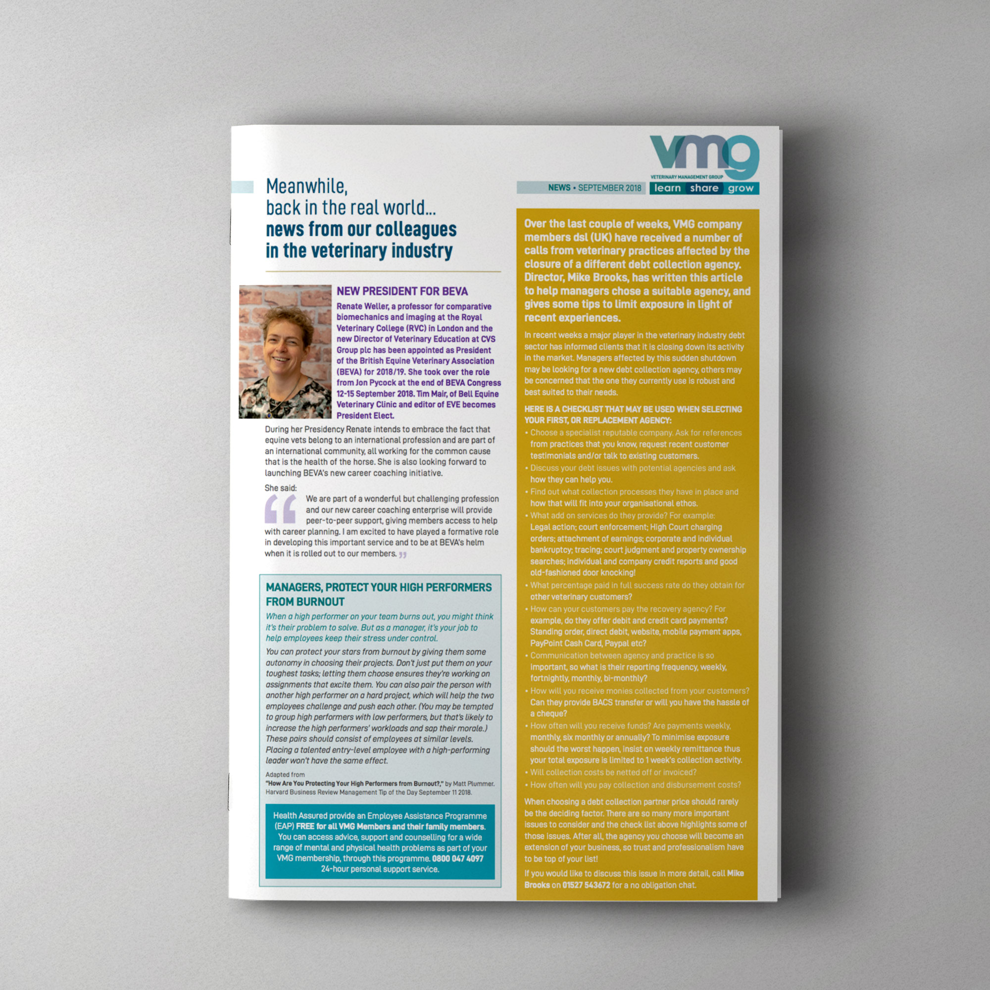 VMG News, September 2018 dsluk Ltd
