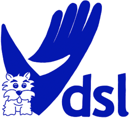 dsluk Ltd